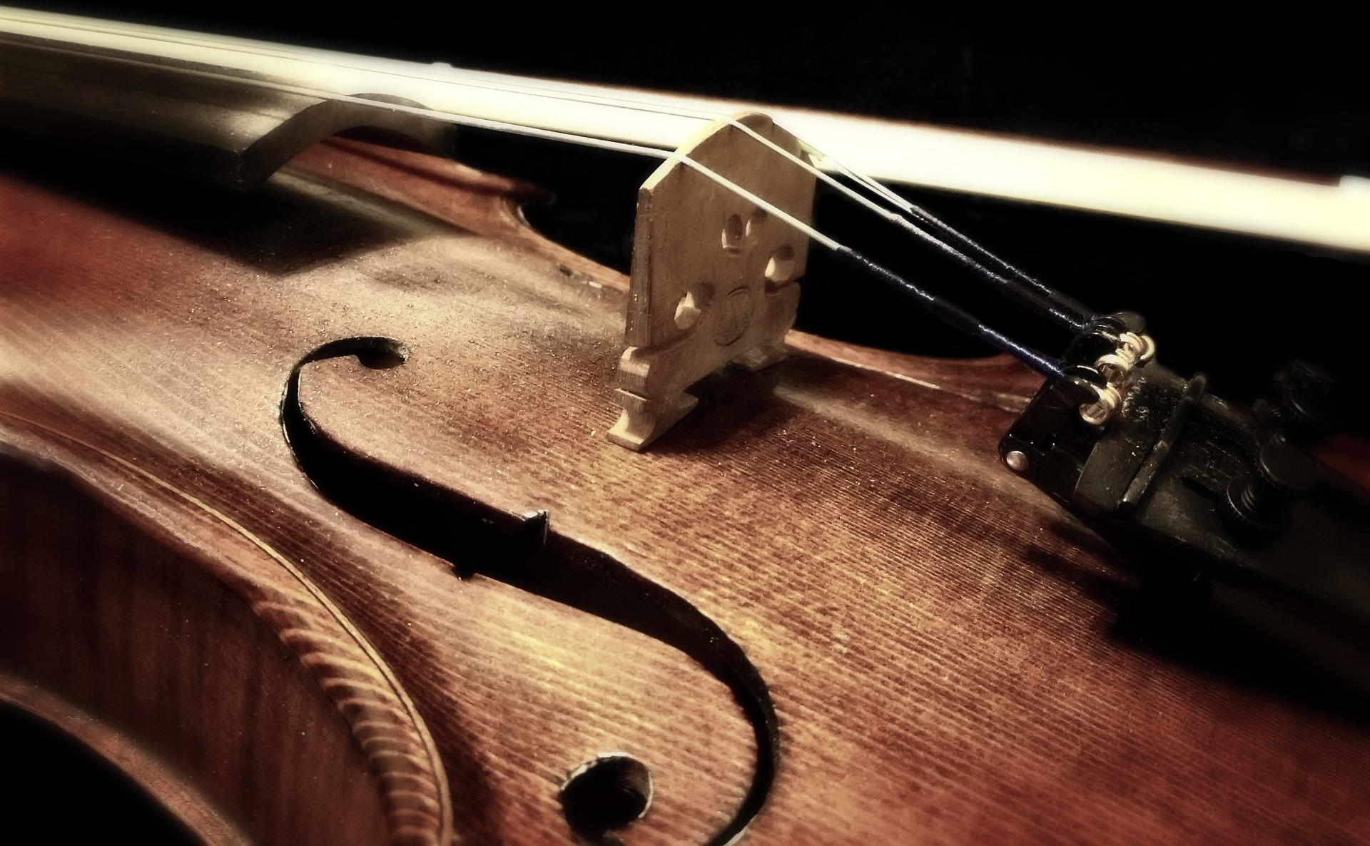 musik, fiol
