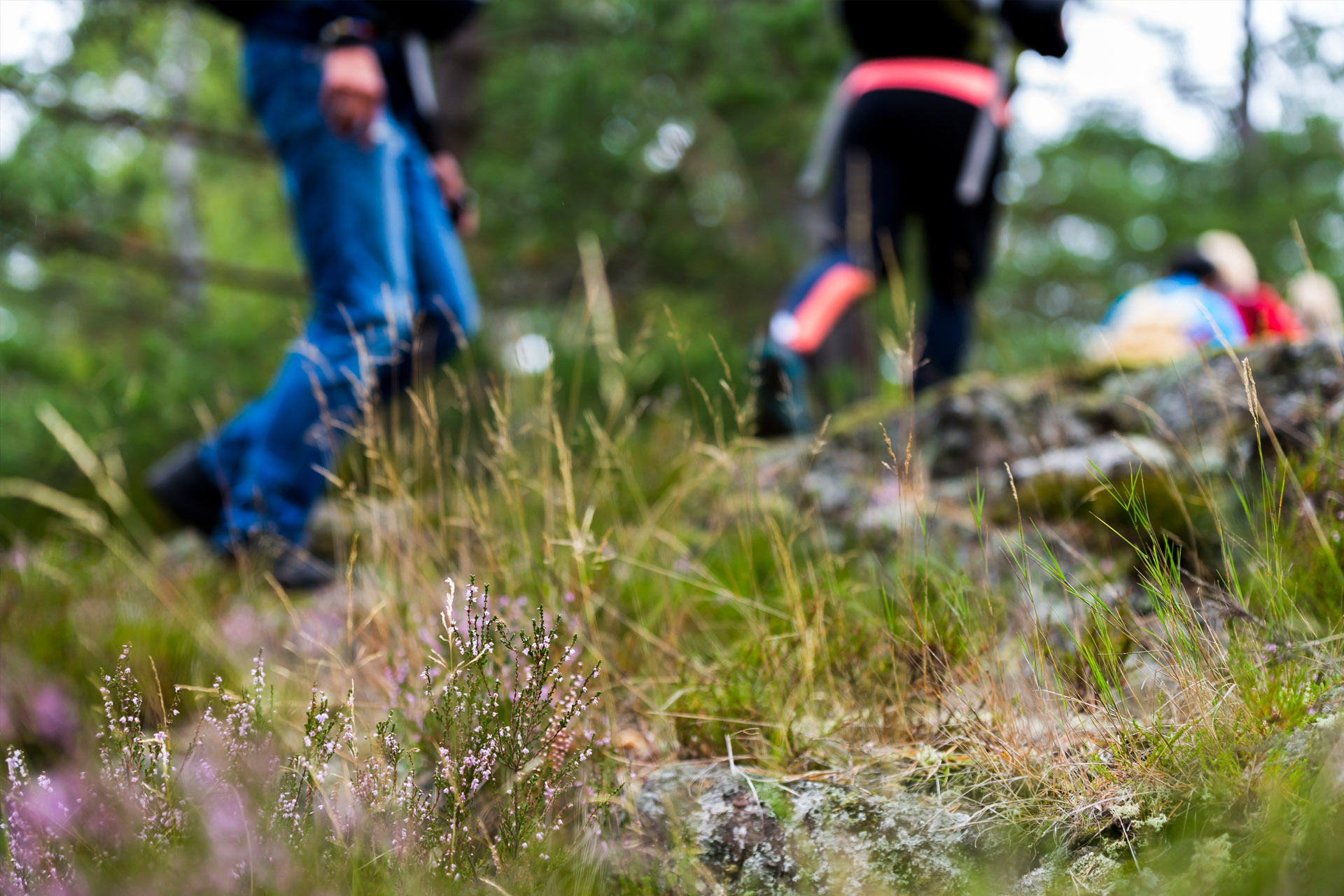 Höstlik natur i förgrunden och människor som går i bakgrunden