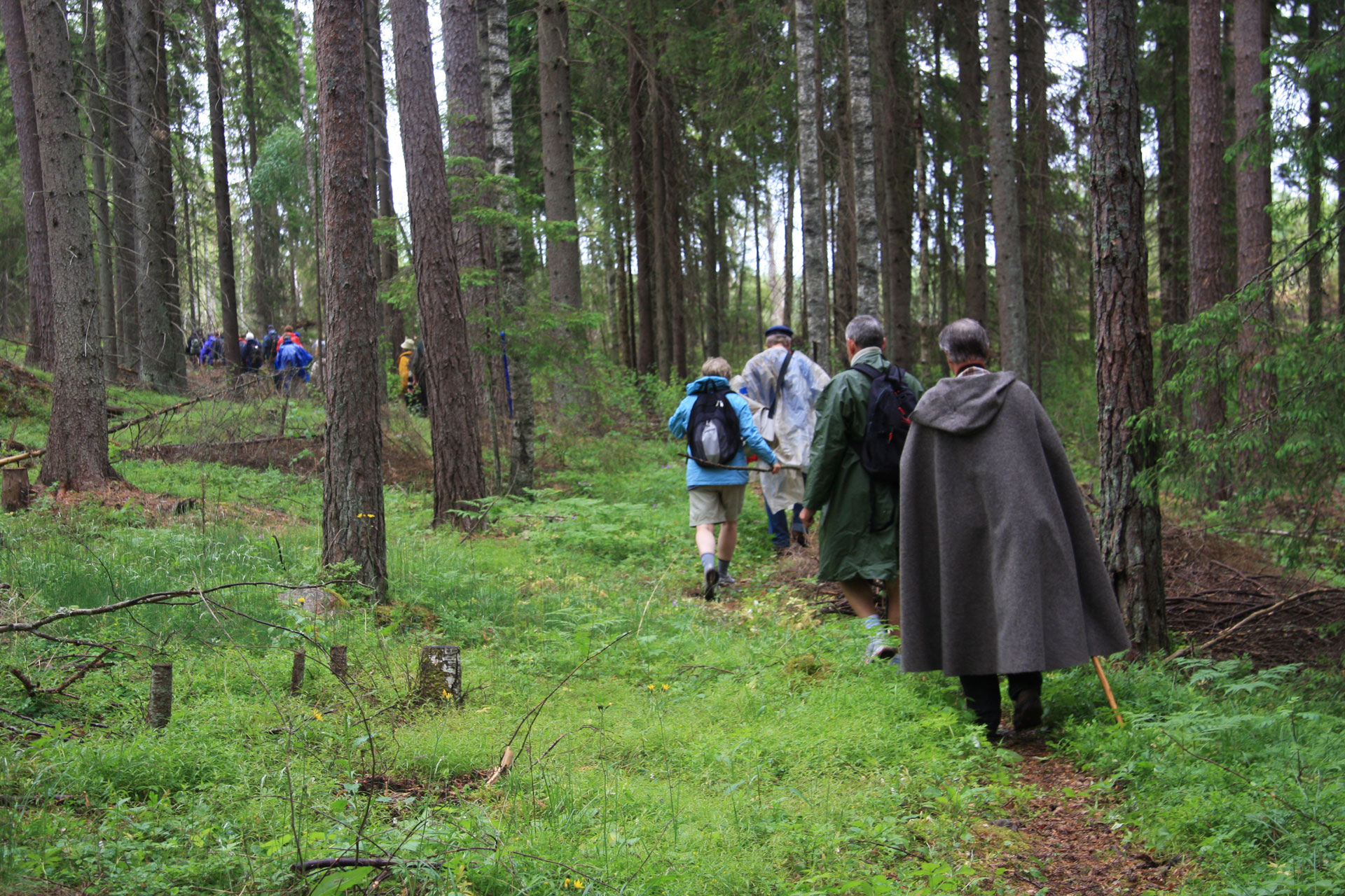 Pilgrimsvandrare i skog