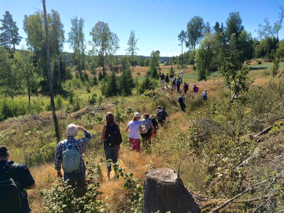 Ett antal personer vandrar i skogen över ett stort hygge. 