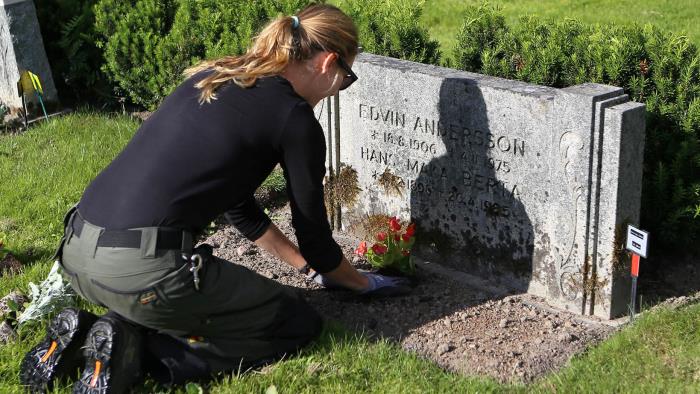 Plantering av sommarblommor på Risinge kyrkogård