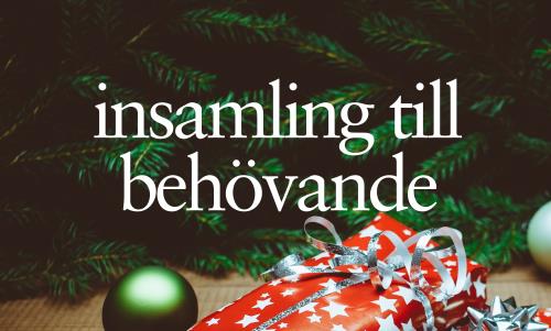 Även i år delar Nacka församling ut matkassar till de som lever i ekonomisk
utsatthet. Vi ser att behovet är extra stort i år och ber därför om din hjälp! Tack för att du ger oss möjlighet att hjälpa de mest utsatta i vårt samhälle.