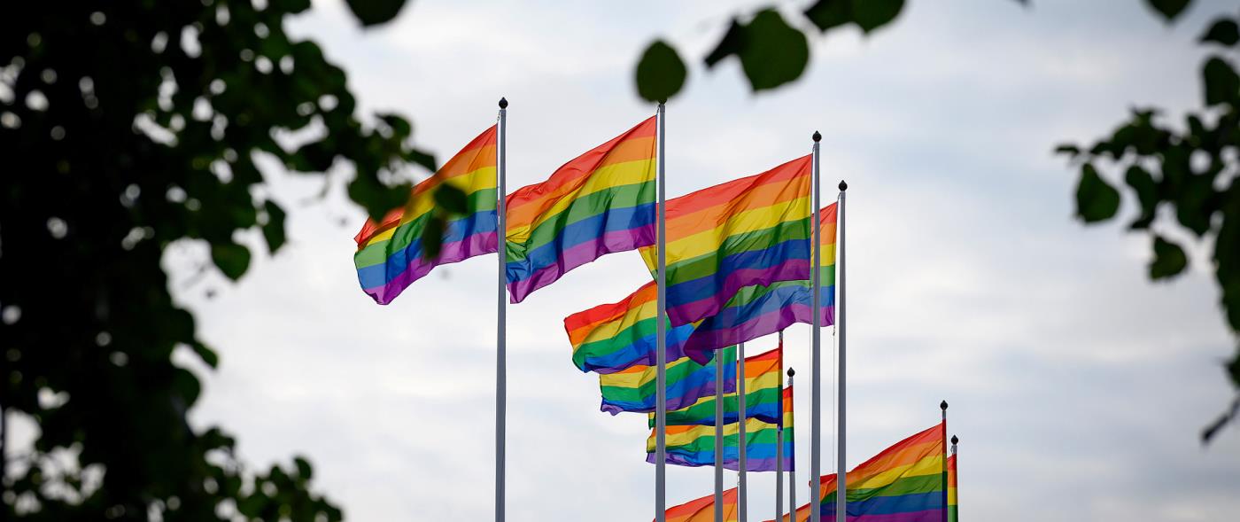 I Vstra Vingker kan man ha rtt till pengar som man inte knner till. Gr din anmlan nu! jobb i Vingker! Innan du sker jobb r det klokt att se ver ditt CV. Per-Olov Martins Wedin, Bjrkgatan 5, Vingker | redteksystems.net