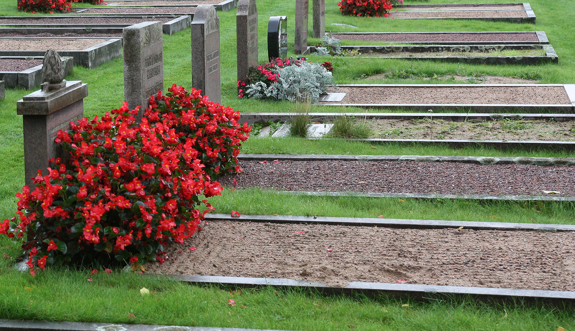 Sommarblommor, gravar