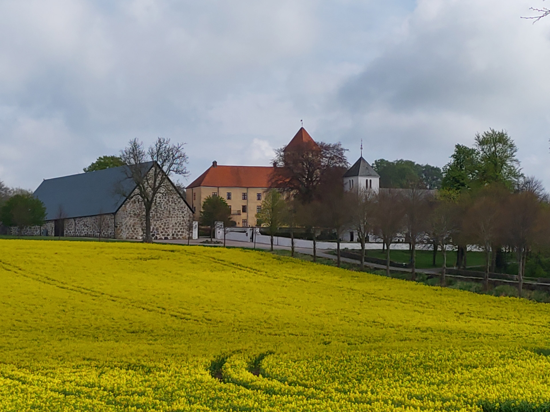 Tosterups kyrka bakom rapsfält
