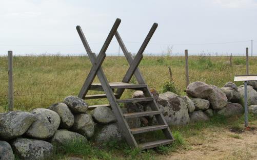 Stenmur på Öland