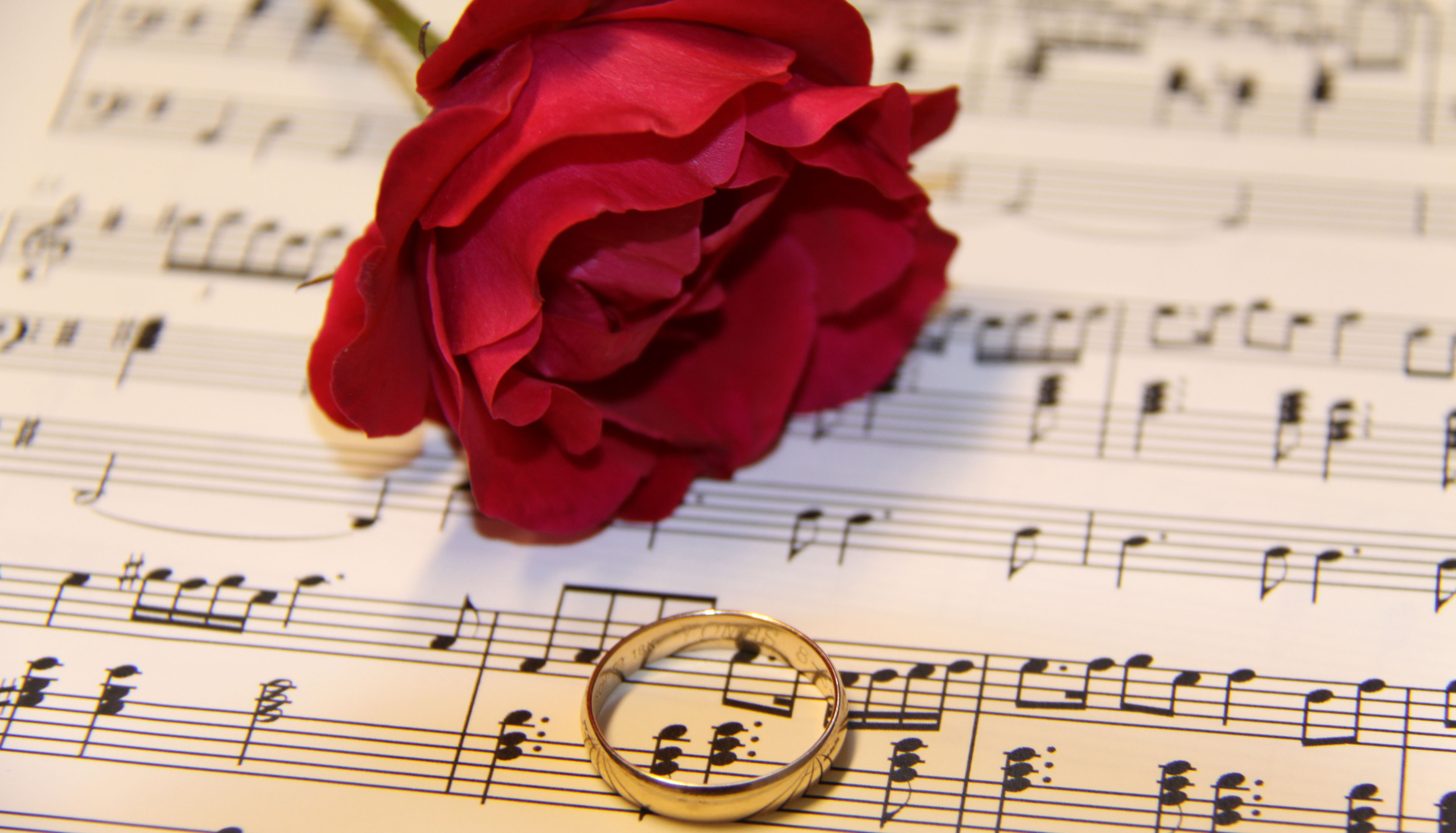 Hand i hand genom livet. Foto: Magnus Aronson