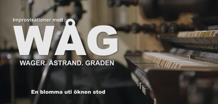 Musiken har varit tvungna att ställa om under våren och använda andra sätt att kommunicera. Nu börjar vi med att publicera en serie med den prisbelönta gruppen WÅG - med medlemmarna Mattias Wager, Anders Åstrand och Gary Graden. Först ut är En blomma uti öknen stod.
