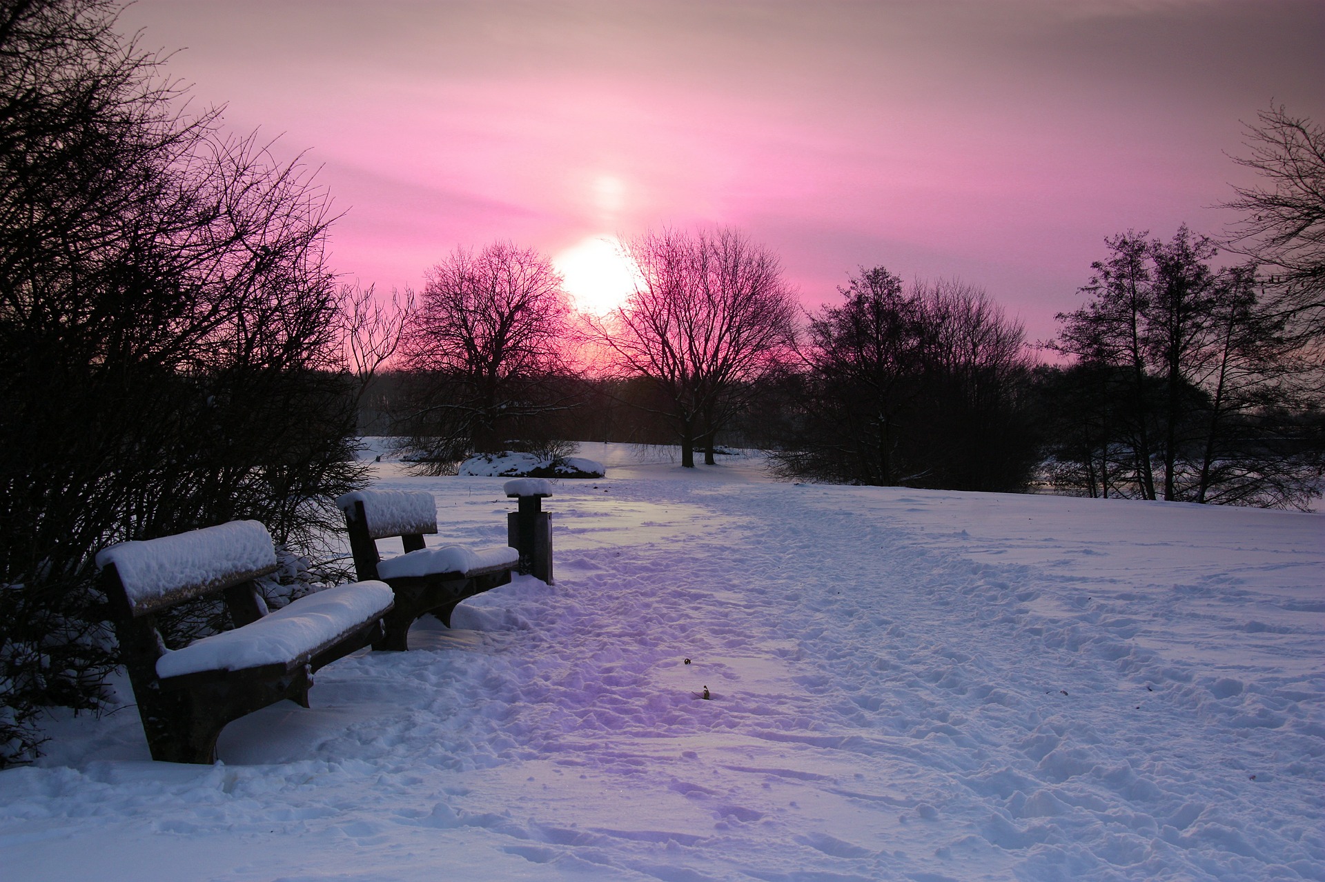 En vinterdag med mycket snö, två parkbänkar, träd och en sol som är på väg ner.