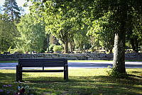 1290086.jpg