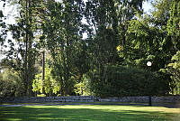 1290089.jpg